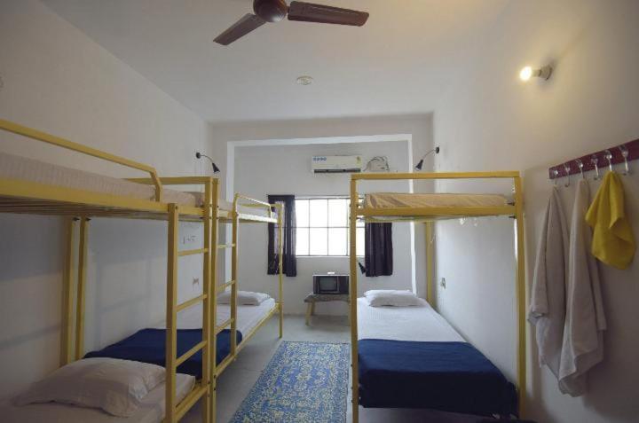 Chalo Eco Hostel Jaipur Ngoại thất bức ảnh