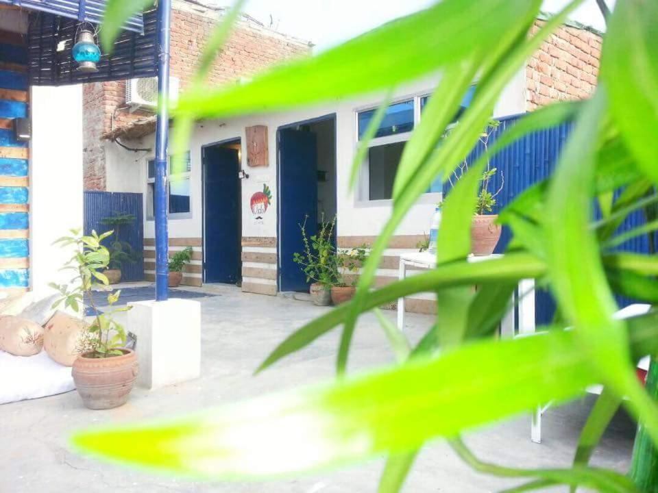 Chalo Eco Hostel Jaipur Ngoại thất bức ảnh